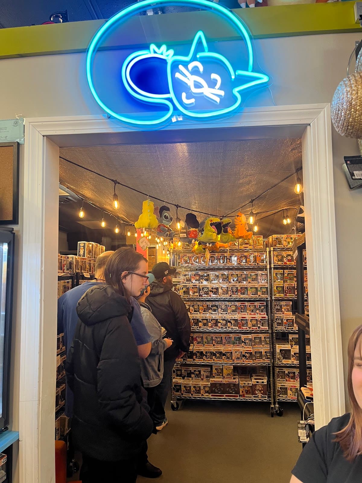 Blueberry Cat Collectibles in Bridgeport, Connecticut