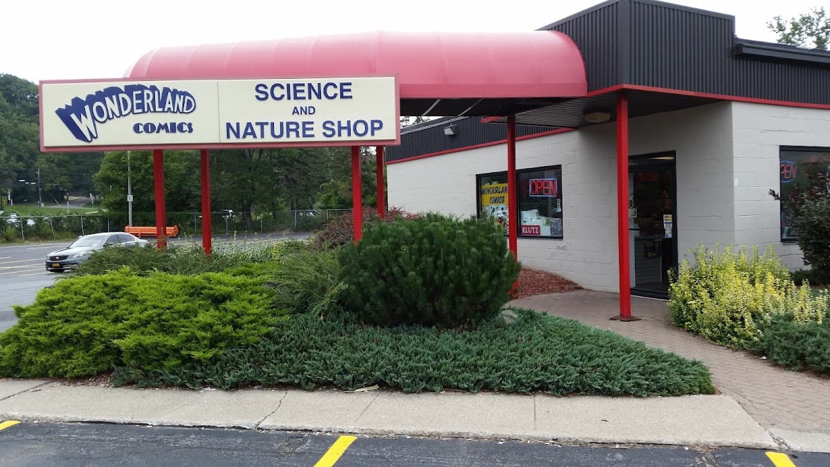 Wonderland Comics in Rochester, New York