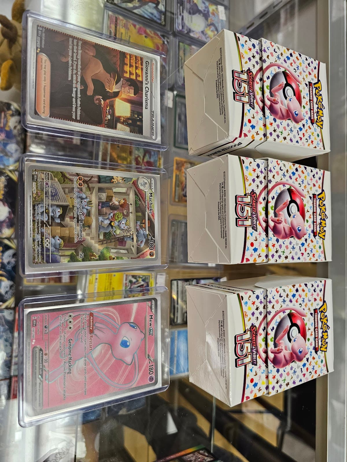 Card Shop Sacramento X Gold Star Collectibles in Sacramento, California
