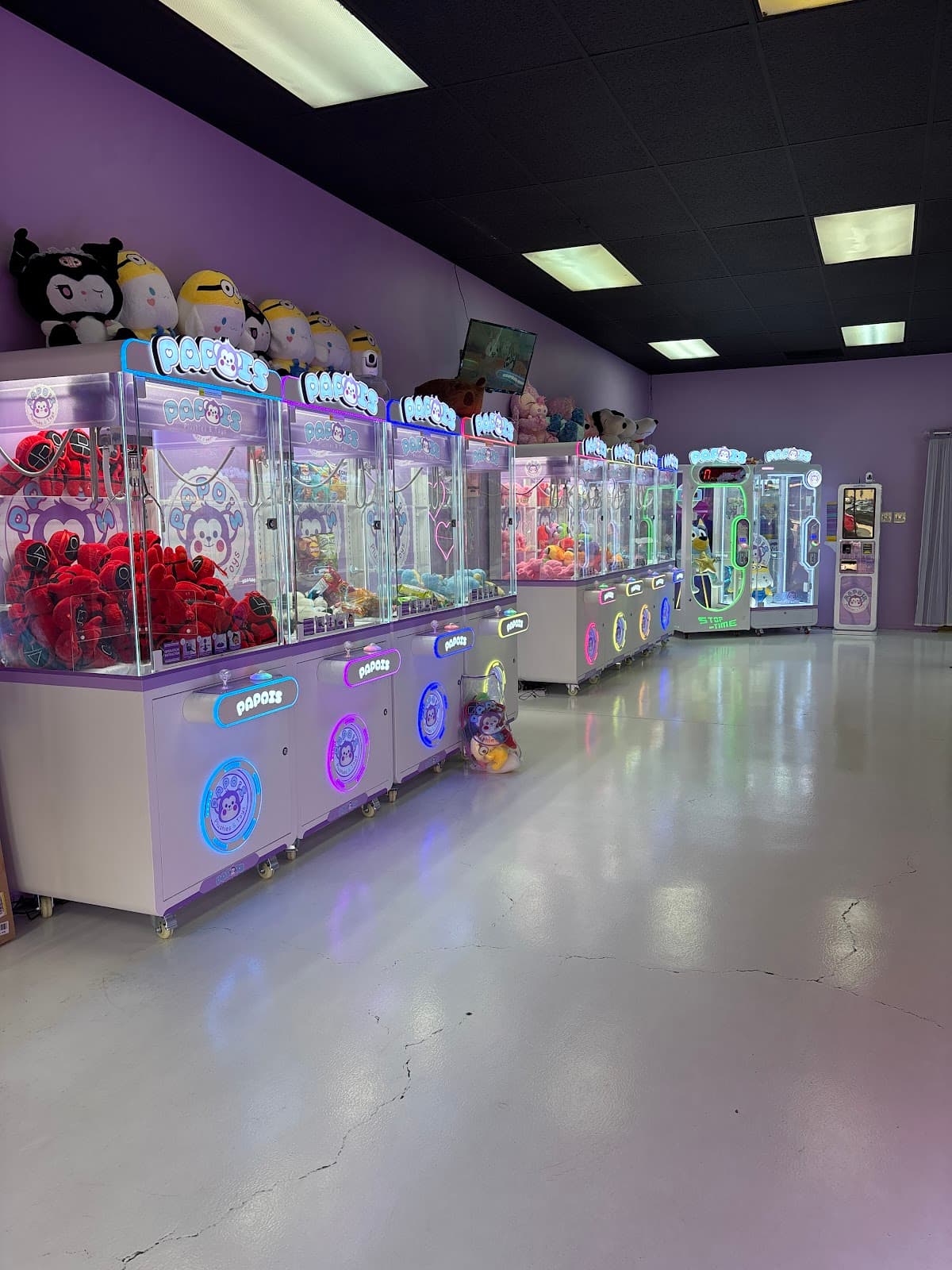 Papois Plushies & Toys in St. George, Utah