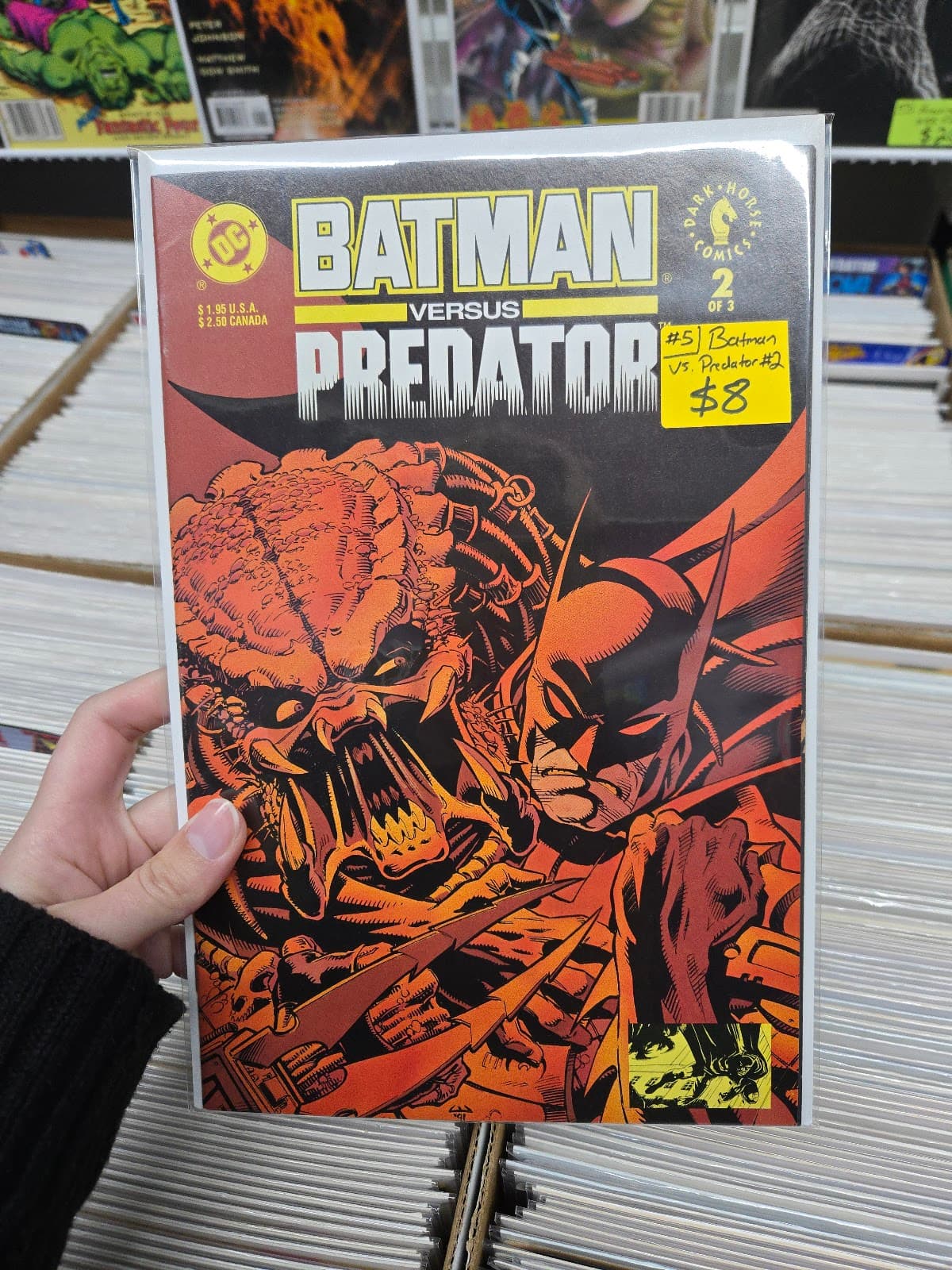 Without Fear Comics in Knoxville, Tennessee