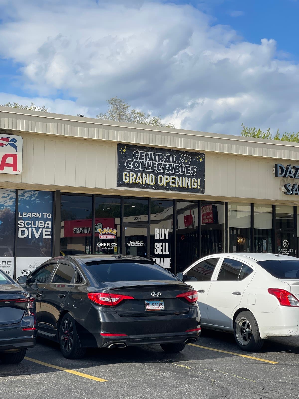 Central Collectables in Naperville, Illinois