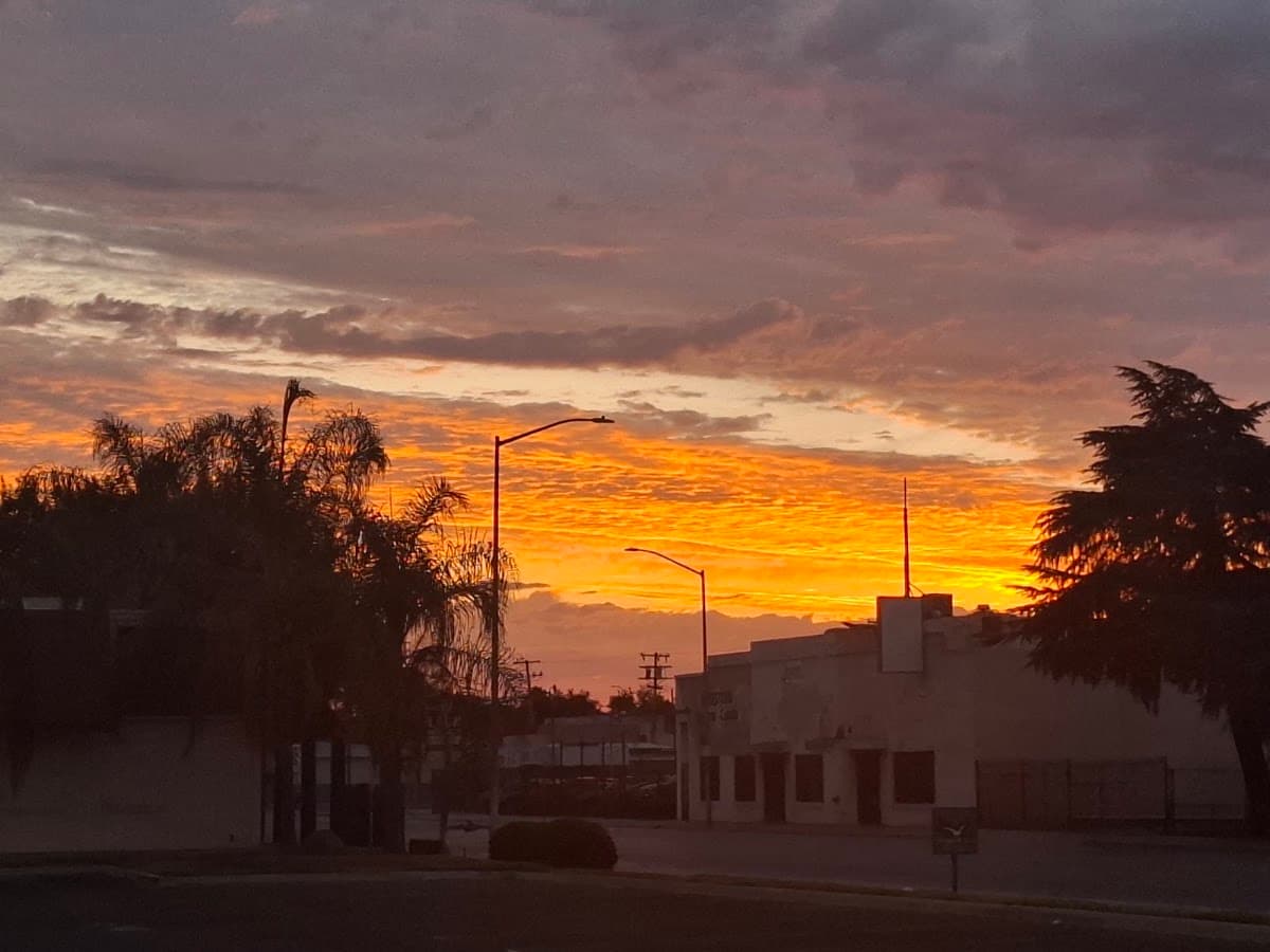 Webster's Sports Cards in Fresno, California