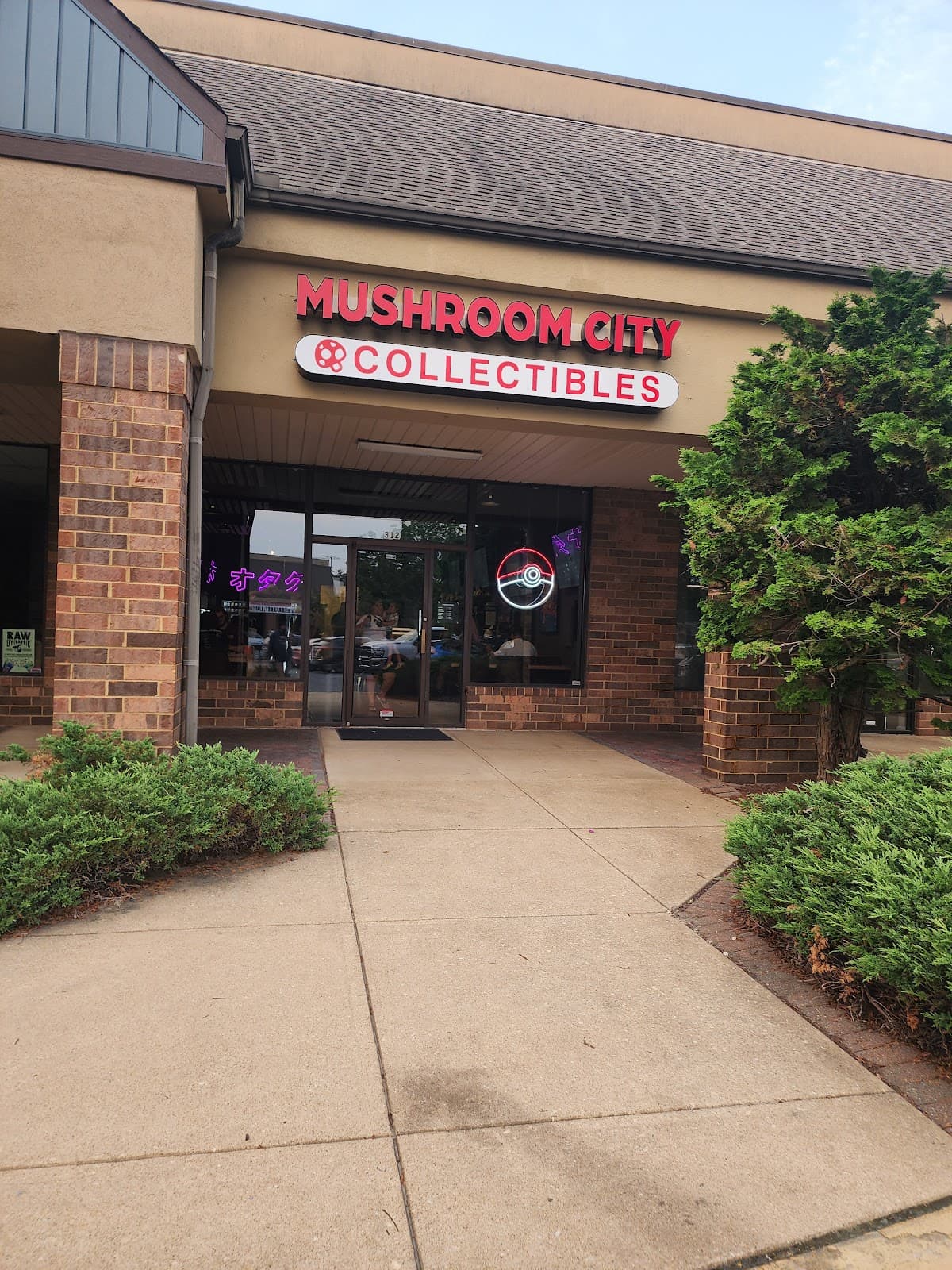 Mushroom City Collectibles in Wilmington, Delaware