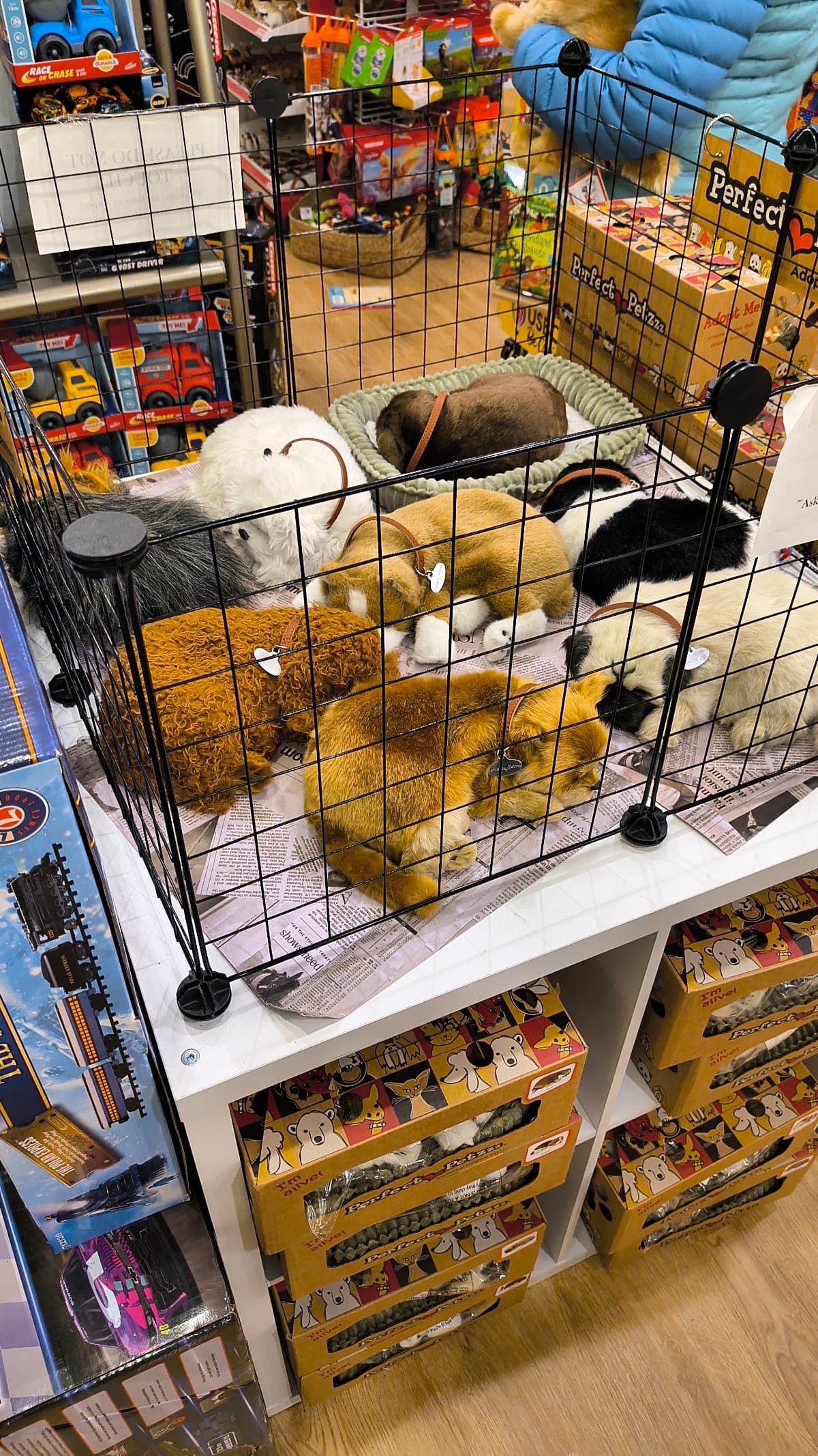 Hullabaloo Toys and Novelty Gifts in Bozeman, Montana
