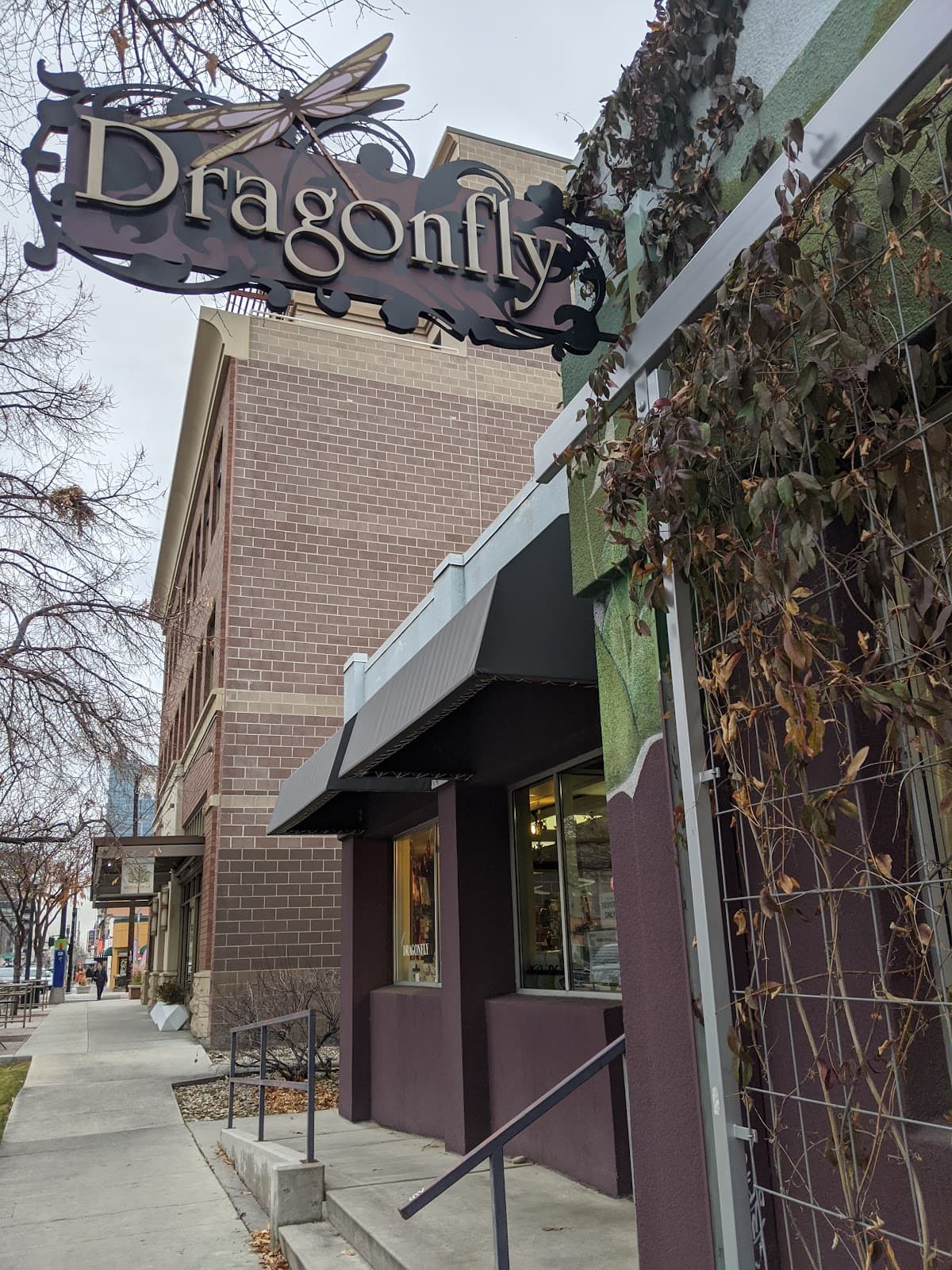 Dragonfly in Boise, Idaho